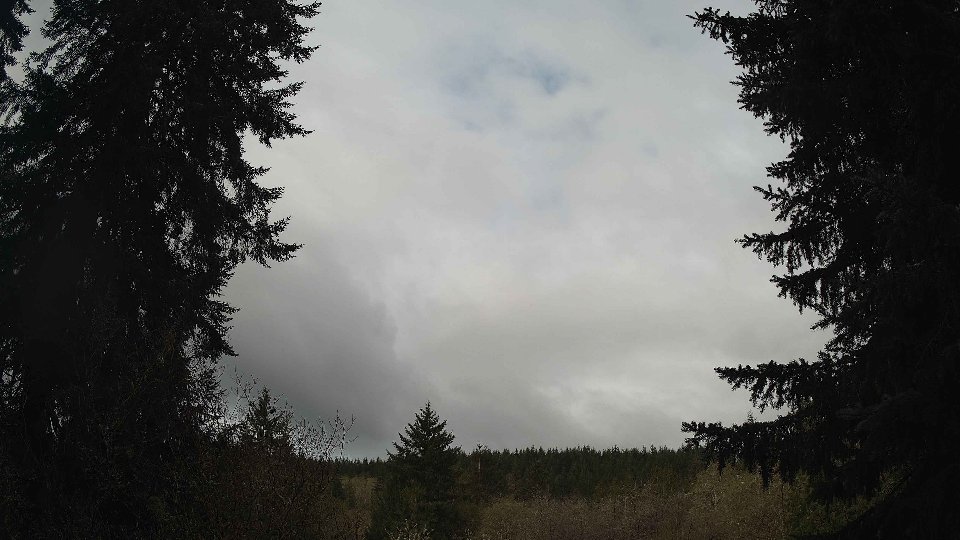 Pacific Northwest skyline timelapse frame from Apr 13th, 2026 at 9:00 AM