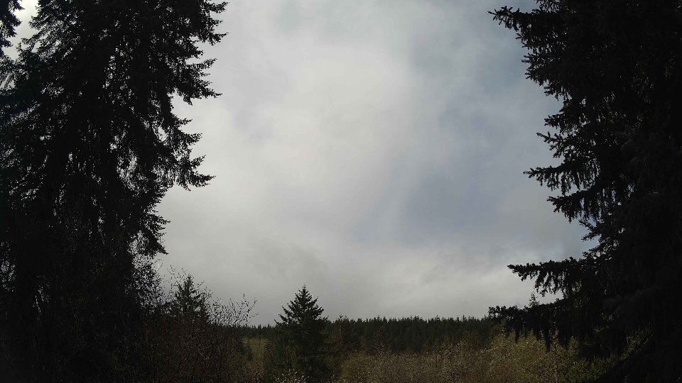 Pacific Northwest skyline timelapse frame from Apr 13th, 2026 at 11:15 AM