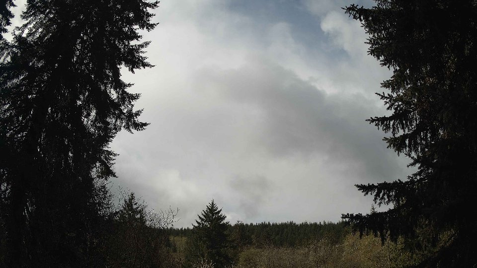 Pacific Northwest skyline timelapse frame from Apr 13th, 2026 at 11:30 AM