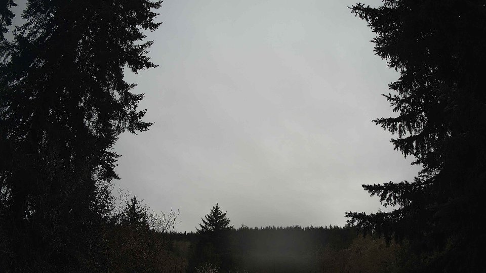 Pacific Northwest skyline timelapse frame from Apr 14th, 2026 at 8:00 AM