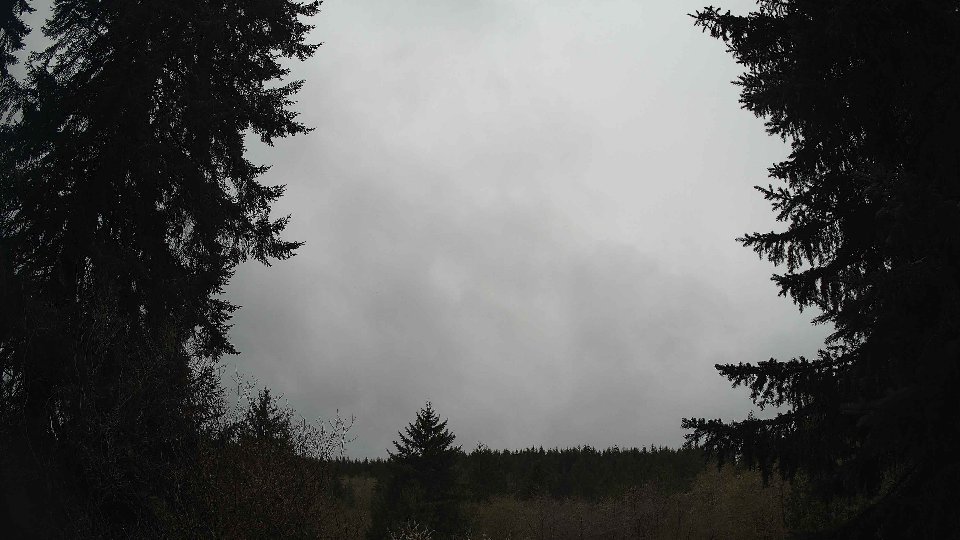 Pacific Northwest skyline timelapse frame from Apr 14th, 2026 at 11:00 AM