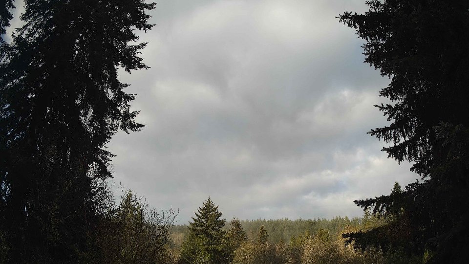 Pacific Northwest skyline timelapse frame from Apr 15th, 2026 at 8:00 AM