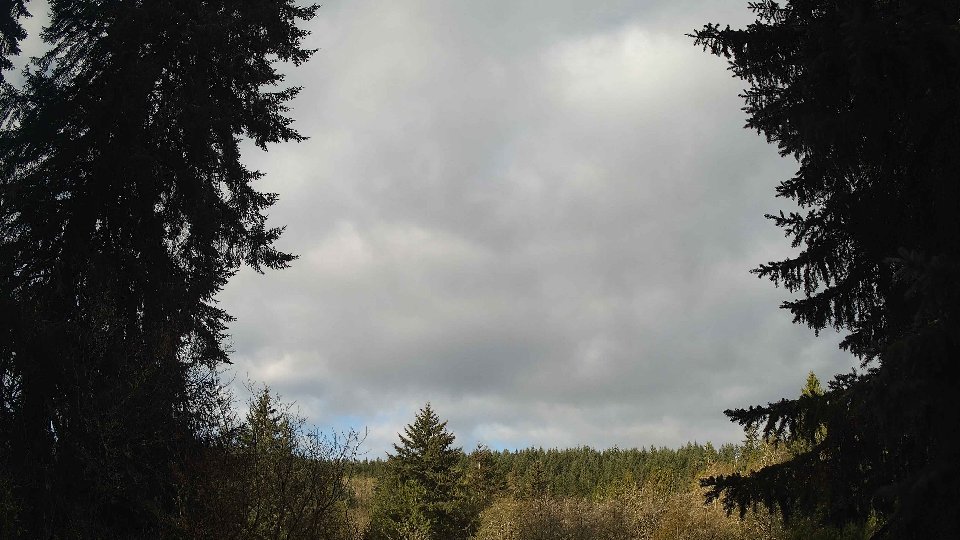 Pacific Northwest skyline timelapse frame from Apr 15th, 2026 at 8:15 AM