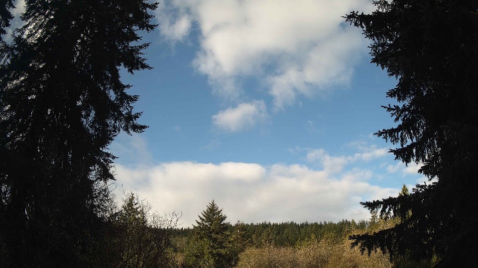 Pacific Northwest skyline timelapse frame from Apr 15th, 2026 at 8:30 AM