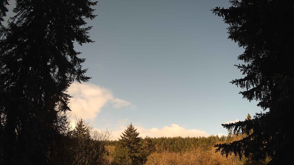 Pacific Northwest skyline timelapse frame from Apr 15th, 2026 at 8:45 AM
