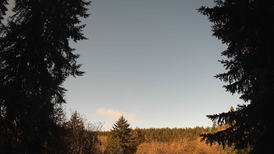 Pacific Northwest skyline timelapse frame from Apr 15th, 2026 at 9:00 AM