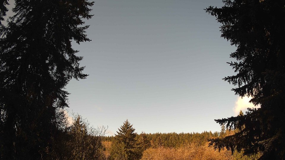 Pacific Northwest skyline timelapse frame from Apr 15th, 2026 at 9:15 AM