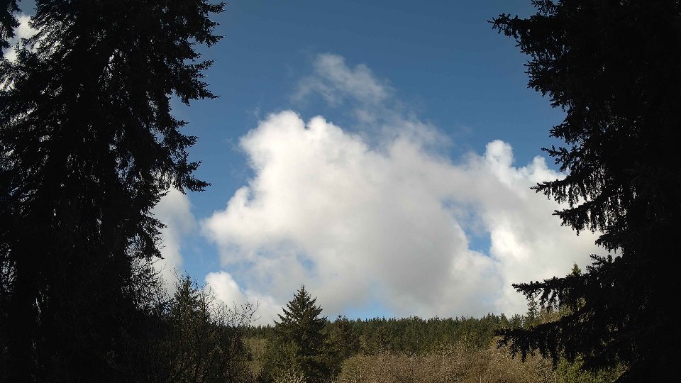 Pacific Northwest skyline timelapse frame from Apr 15th, 2026 at 9:45 AM