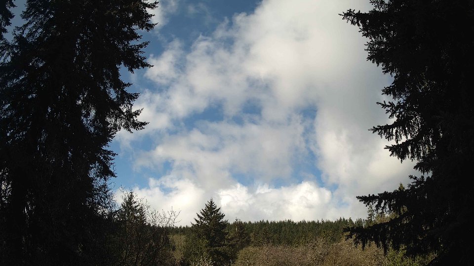 Pacific Northwest skyline timelapse frame from Apr 15th, 2026 at 10:00 AM