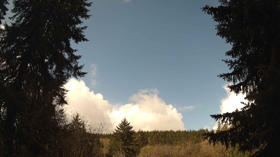 Pacific Northwest skyline timelapse frame from Apr 15th, 2026 at 10:15 AM