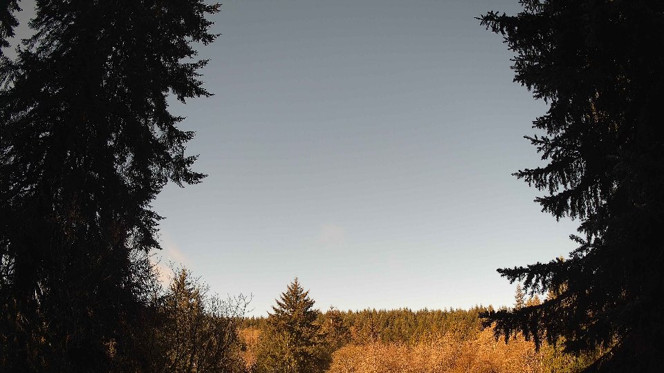 Pacific Northwest skyline timelapse frame from Apr 16th, 2026 at 9:00 AM
