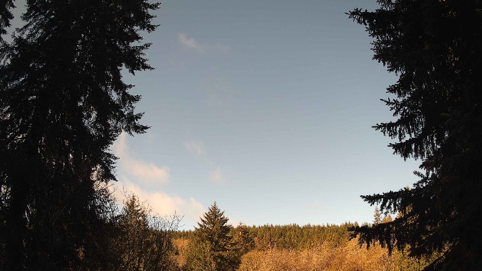 Pacific Northwest skyline timelapse frame from Apr 16th, 2026 at 9:15 AM