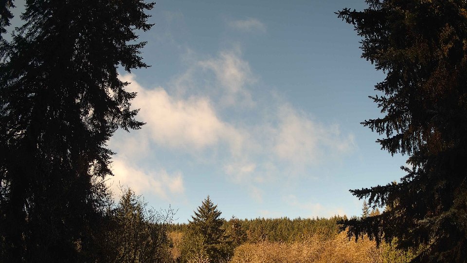 Pacific Northwest skyline timelapse frame from Apr 16th, 2026 at 9:30 AM