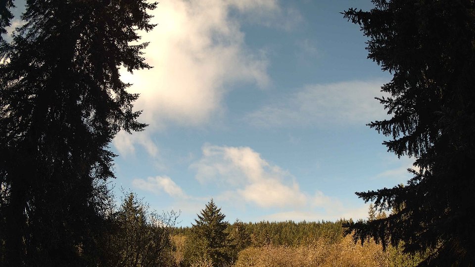 Pacific Northwest skyline timelapse frame from Apr 16th, 2026 at 9:45 AM