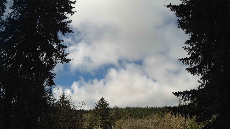 Pacific Northwest skyline timelapse frame from Apr 16th, 2026 at 10:15 AM