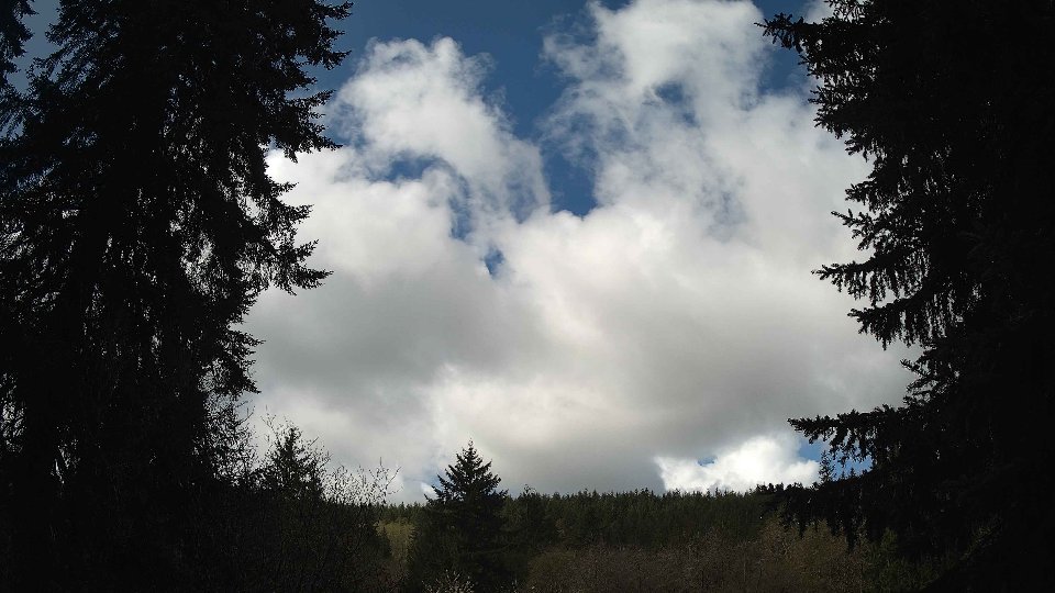 Pacific Northwest skyline timelapse frame from Apr 16th, 2026 at 10:45 AM