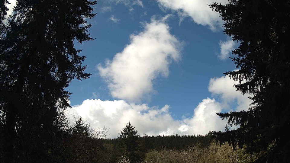 Pacific Northwest skyline timelapse frame from Apr 16th, 2026 at 11:00 AM
