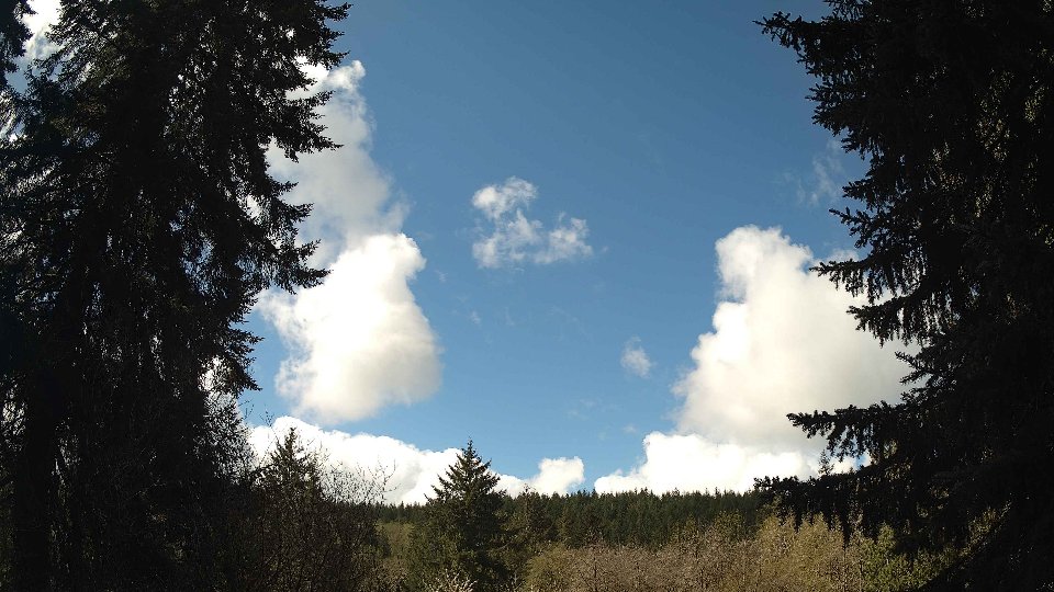 Pacific Northwest skyline timelapse frame from Apr 16th, 2026 at 11:15 AM