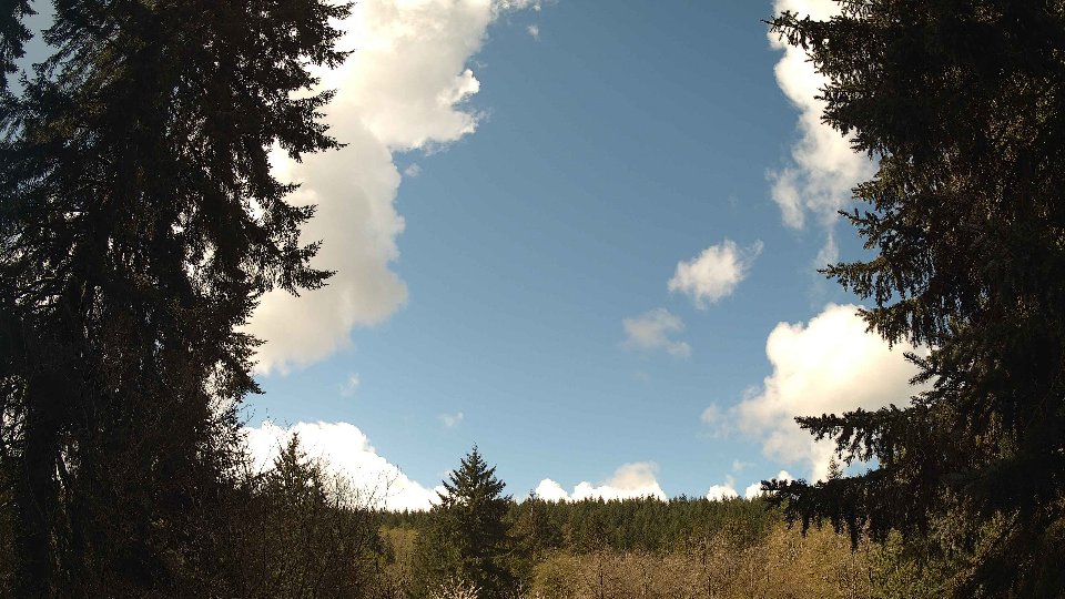 Pacific Northwest skyline timelapse frame from Apr 16th, 2026 at 11:30 AM