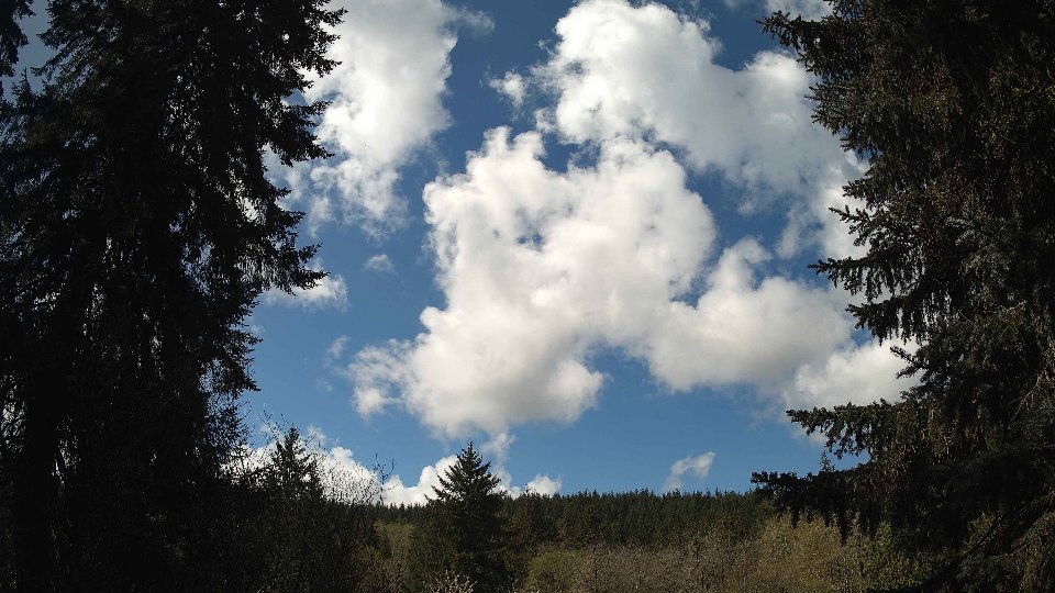 Pacific Northwest skyline timelapse frame from Apr 16th, 2026 at 11:45 AM