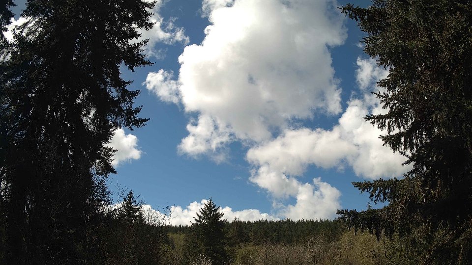 Pacific Northwest skyline timelapse frame from Apr 16th, 2026 at 12:00 PM