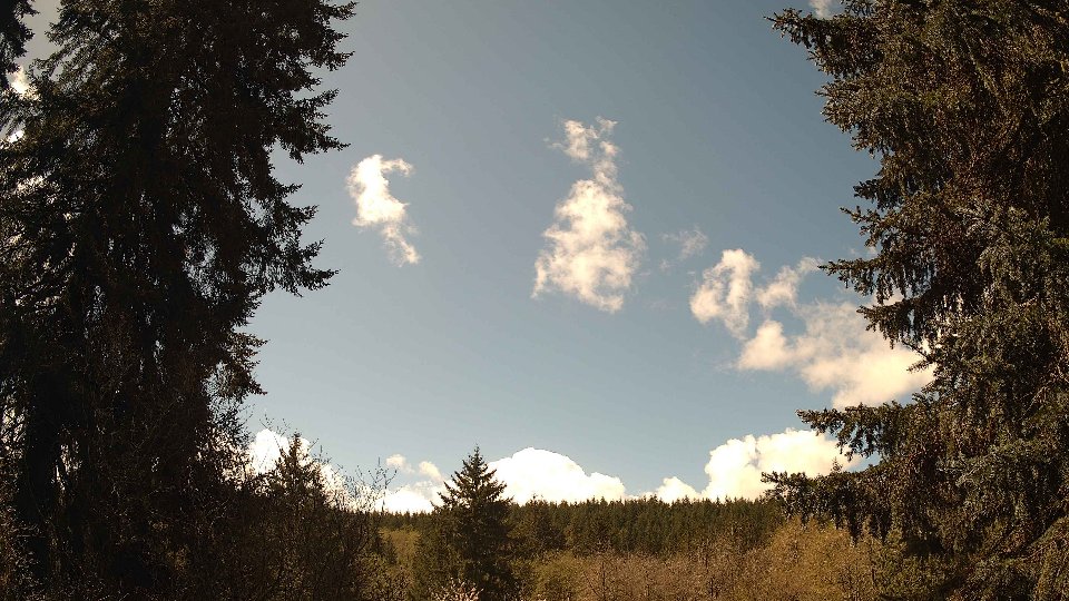 Pacific Northwest skyline timelapse frame from Apr 16th, 2026 at 12:15 PM