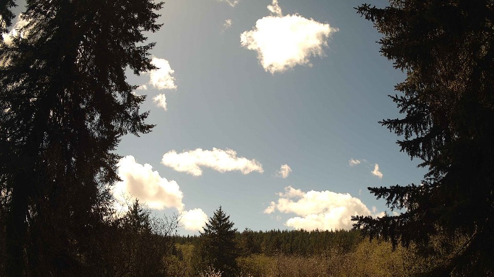 Pacific Northwest skyline timelapse frame from Apr 16th, 2026 at 1:15 PM