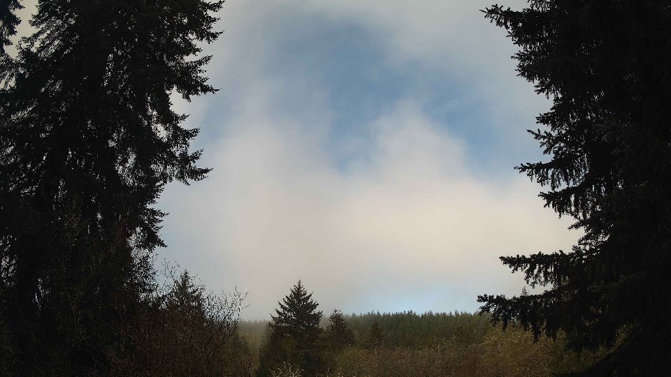 Pacific Northwest skyline timelapse frame from Apr 17th, 2026 at 8:45 AM