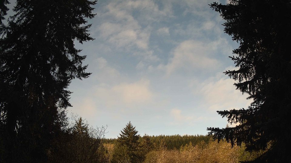 Pacific Northwest skyline timelapse frame from Apr 17th, 2026 at 9:00 AM