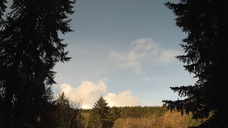 Pacific Northwest skyline timelapse frame from Apr 17th, 2026 at 9:15 AM