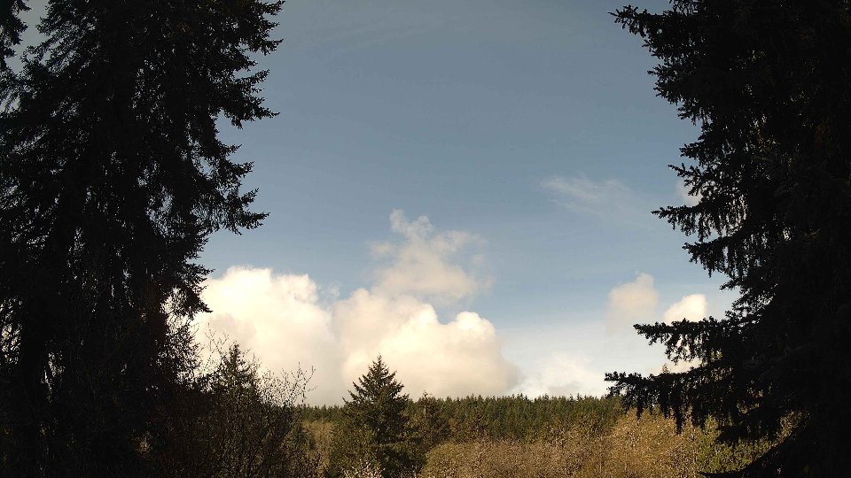 Pacific Northwest skyline timelapse frame from Apr 17th, 2026 at 9:45 AM