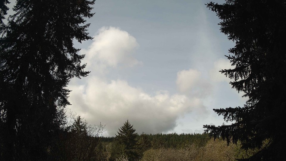 Pacific Northwest skyline timelapse frame from Apr 17th, 2026 at 10:15 AM