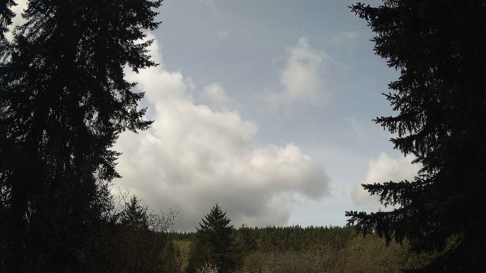 Pacific Northwest skyline timelapse frame from Apr 17th, 2026 at 10:30 AM