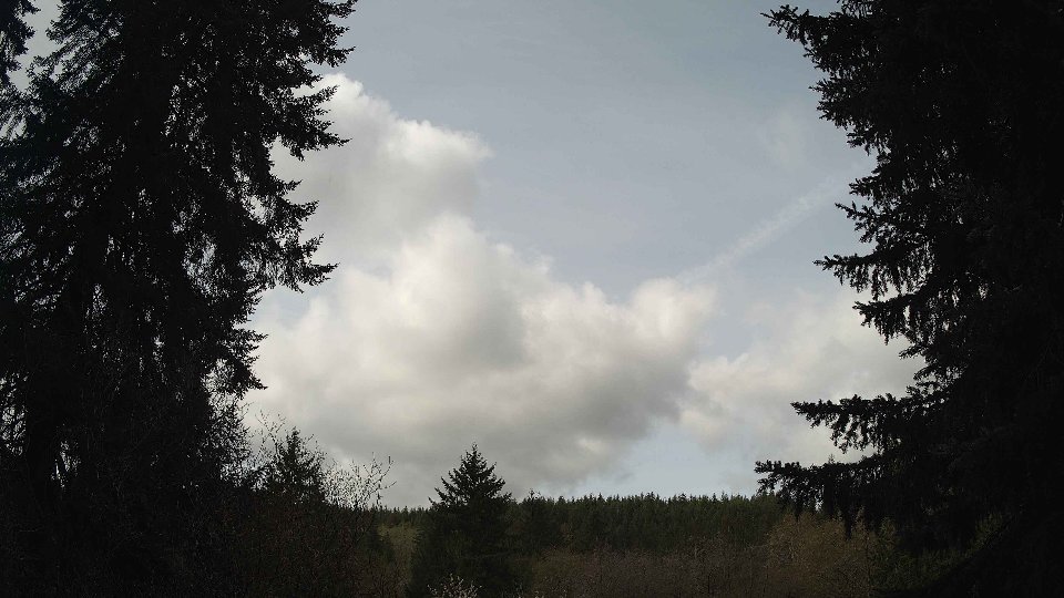 Pacific Northwest skyline timelapse frame from Apr 17th, 2026 at 10:45 AM