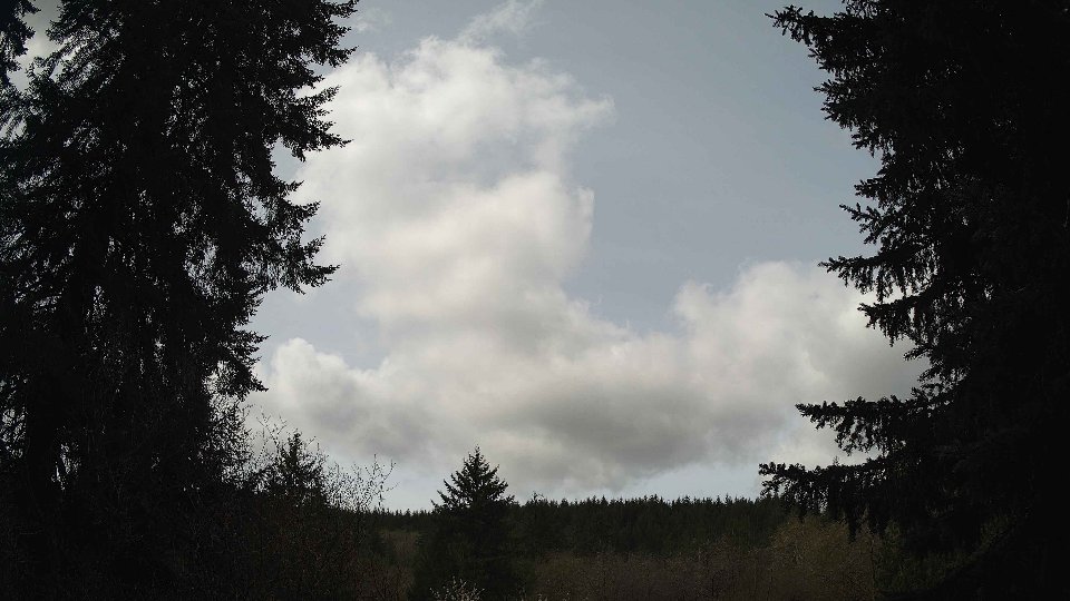 Pacific Northwest skyline timelapse frame from Apr 17th, 2026 at 11:00 AM