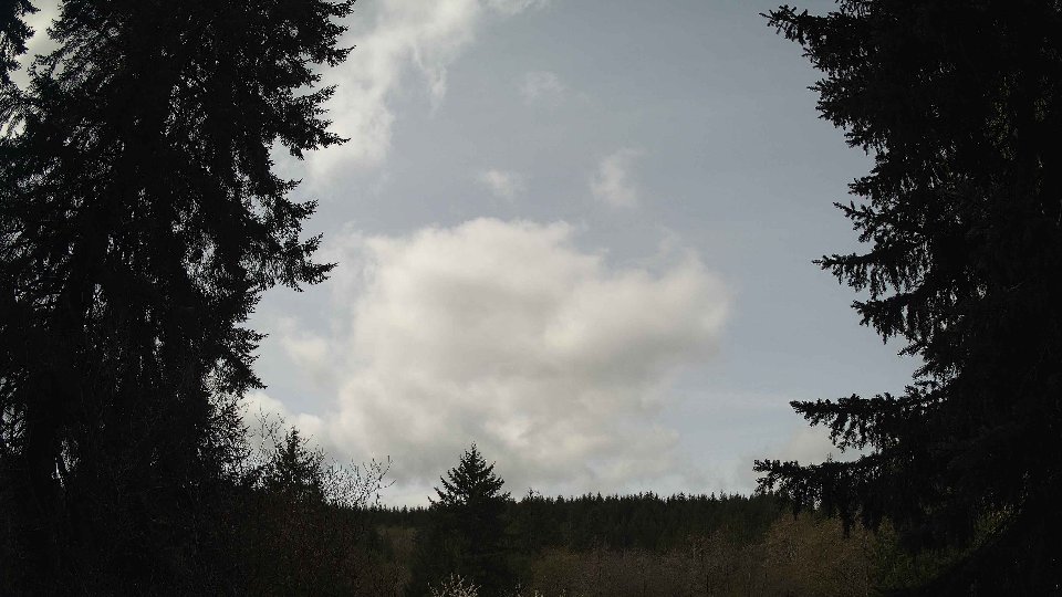 Pacific Northwest skyline timelapse frame from Apr 17th, 2026 at 11:15 AM