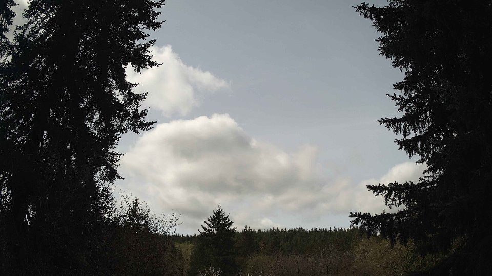 Pacific Northwest skyline timelapse frame from Apr 17th, 2026 at 11:30 AM