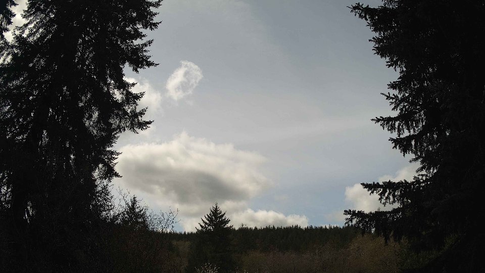 Pacific Northwest skyline timelapse frame from Apr 17th, 2026 at 11:45 AM