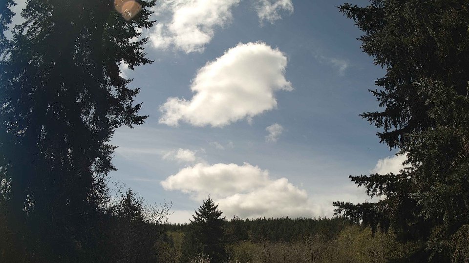 Pacific Northwest skyline timelapse frame from Apr 17th, 2026 at 12:30 PM
