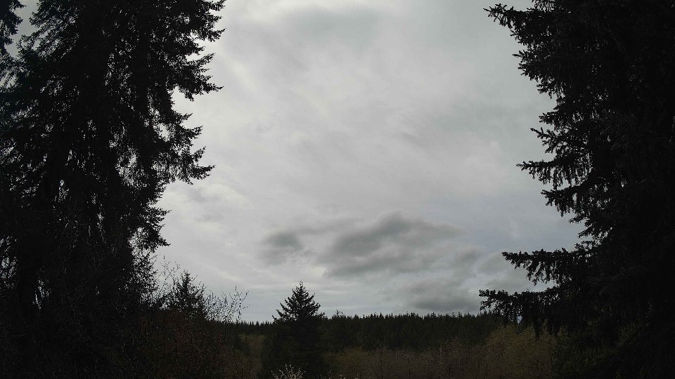 Pacific Northwest skyline timelapse frame from Apr 17th, 2026 at 1:30 PM