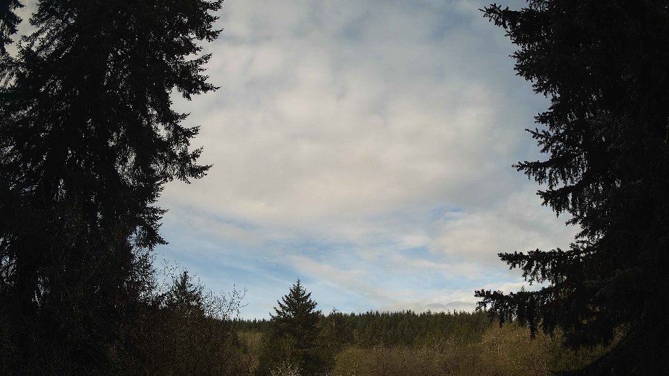 Pacific Northwest skyline timelapse frame from Apr 18th, 2026 at 8:15 AM
