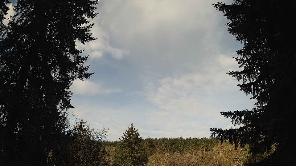 Pacific Northwest skyline timelapse frame from Apr 18th, 2026 at 8:45 AM