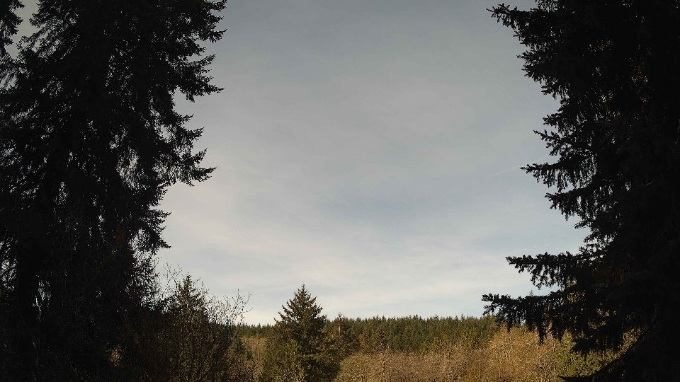 Pacific Northwest skyline timelapse frame from Apr 18th, 2026 at 9:15 AM