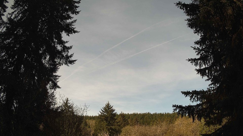Pacific Northwest skyline timelapse frame from Apr 18th, 2026 at 9:30 AM