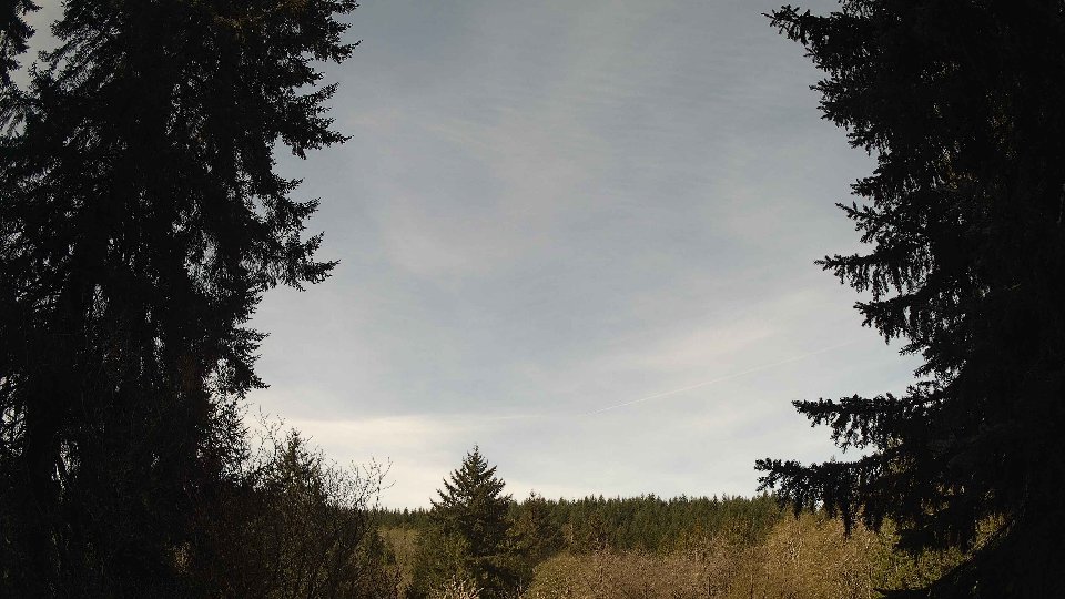 Pacific Northwest skyline timelapse frame from Apr 18th, 2026 at 10:00 AM