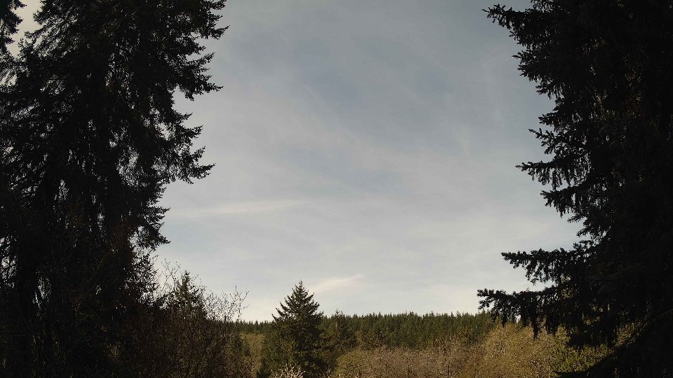 Pacific Northwest skyline timelapse frame from Apr 18th, 2026 at 10:45 AM