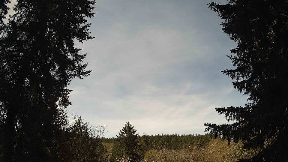 Pacific Northwest skyline timelapse frame from Apr 18th, 2026 at 11:00 AM