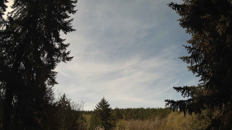 Pacific Northwest skyline timelapse frame from Apr 18th, 2026 at 11:30 AM