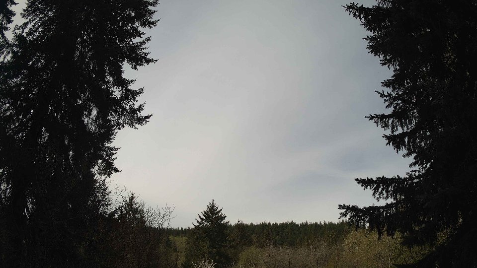 Pacific Northwest skyline timelapse frame from Apr 19th, 2026 at 11:00 AM