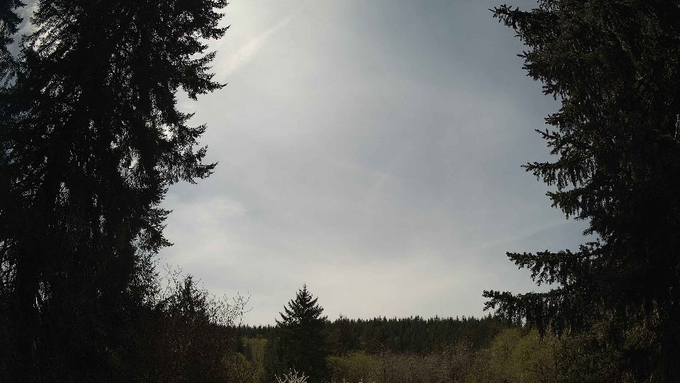 Pacific Northwest skyline timelapse frame from Apr 19th, 2026 at 1:30 PM